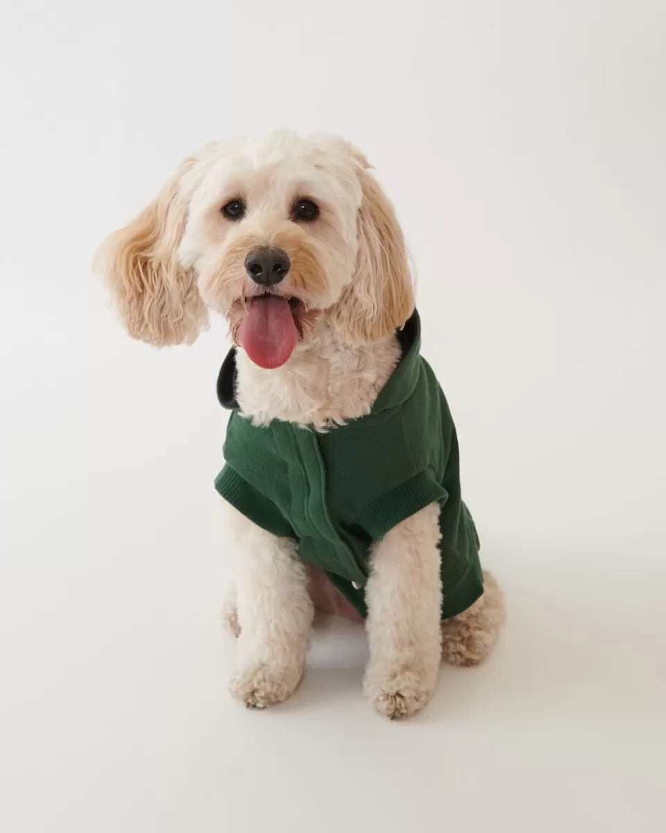 Roots Pooch Original Kanga Size 24 PARK GREEN Outlet